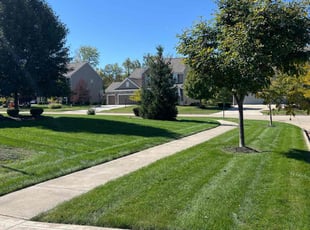 Tracy B.'s Lawn Service service result