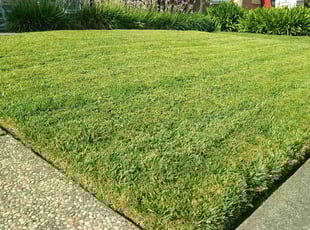 Kelly s.'s Lawn Mowing service result