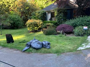 Cleanups by Aurel Hung Ngo for Rebecca P. in Seattle, WA