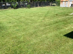 Natasha H.'s Lawn Service service result