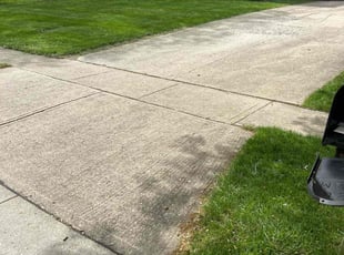 Yvonne L.'s Lawn Care service result