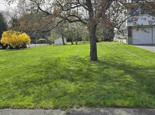 Josh H.'s Lawn Mowing Service service result