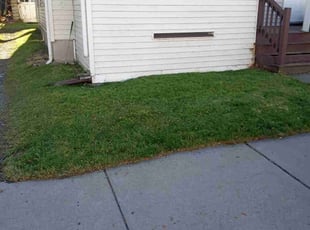 Sandee N.'s Lawn Mowing service result