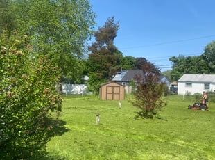 Cleanups by James Serio for Lor M. in Rochester, NY