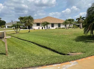 Sun S.'s Lawn Care service result