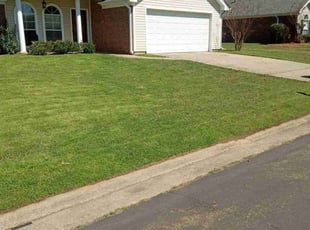 Nicole F.'s Lawn Maintenance service result