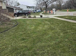 Tasha B.'s Lawn Care service result