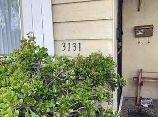 Bush Trimming by Luis Enrique Rafael Chavez for Joan C. in San Jose, CA