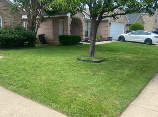 Jorge S.'s Lawn Mowing Service service result