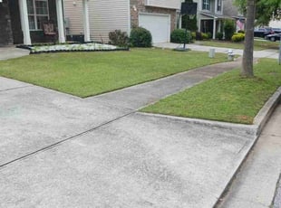 James M.'s Grass Cutting service result