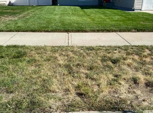 Richard C.'s Lawn Mowing Service service result