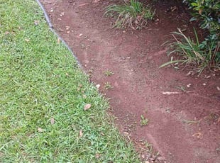 Weeding by Robert Gonzales for Ashley P. in Fuquay-Varina, NC