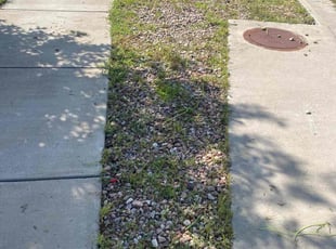 Weeding by Anthony Brooks for Michael B. in Colorado Springs, CO