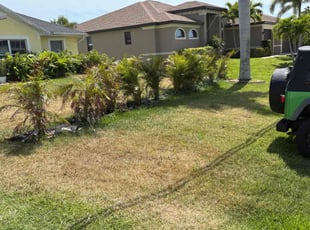Weeding by Malcolm Smith for Michael S. in Cape Coral, FL