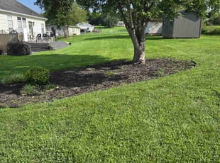 Ruth A.'s Lawn Care service result