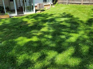Theresa M.'s Lawn Care service result
