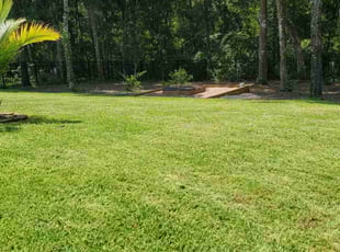 Melanie T.'s Lawn Care service result