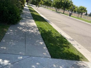 Michael S.'s Lawn Care service result