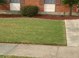 Weeding by Terry Felo for Jacqualyn R. in Gretna, LA