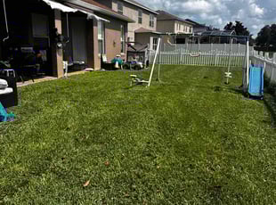 Dawn K.'s Lawn Service service result