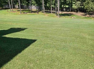 Adam R.'s Lawn Mowing Service service result
