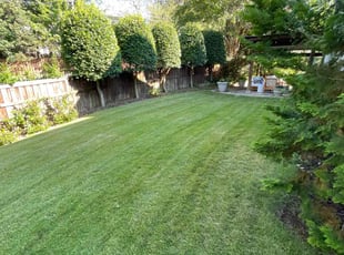 Daniel P.'s Lawn Care service result