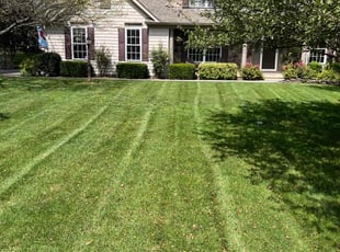 James c.'s Yard Cutting service result