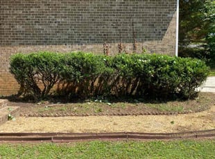 Bush Trimming by Caleb Marshall for Latasha W. in Kennesaw, GA