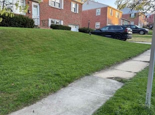 Danie D.'s Lawn Care service result
