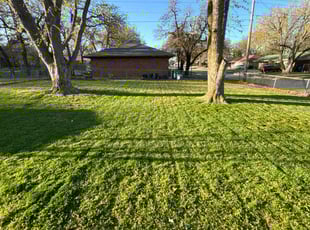 Shannon P.'s Lawn Maintenance service result