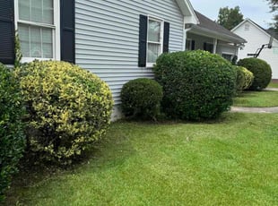 Allison R.'s Lawn Care service result