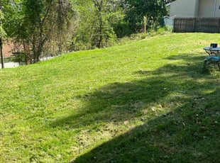 David n.'s Lawn Care service result
