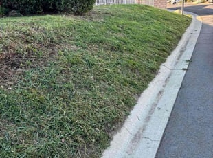 Louis G.'s Grass Cutting service result