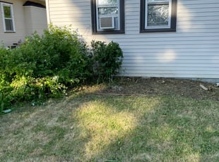 Bush Trimming by Steve Stensland for Donald C. in Minneapolis, MN