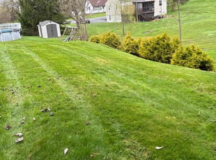 Jon C.'s Lawn Care service result