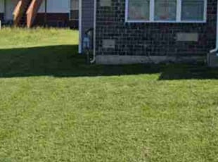 Om K.'s Lawn Mowing service result