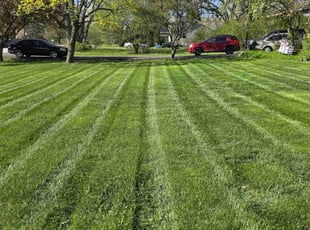 Alina B.'s Lawn Service service result