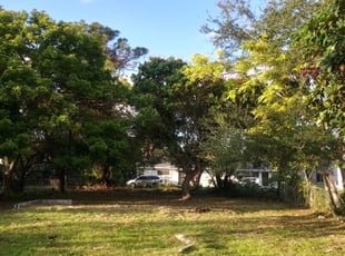 Cleanups by Withchell Cherington for Rukiya D. in Miami, FL