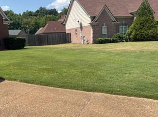 Martha B.'s Yard Cutting service result