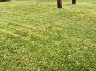 Charles D.'s Lawn Service service result