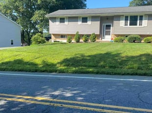 Sue B.'s Lawn Maintenance service result