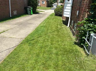 Luis O.'s Lawn Service service result