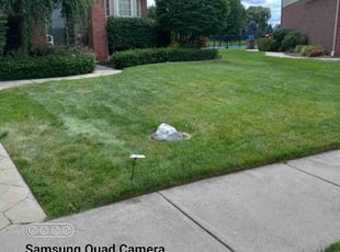 Maisoun H.'s Lawn Mowing Service service result