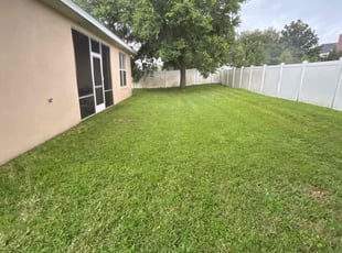 James H.'s Lawn Mowing service result