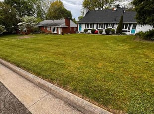 Caity B.'s Lawn Maintenance service result