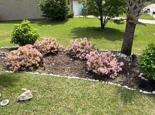 Weeding by Amelia Brown for Michael D. in Blythewood, SC