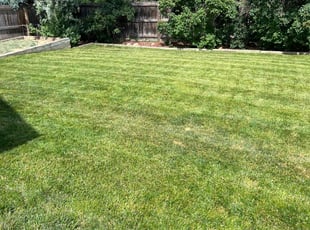 David C.'s Yard Cutting service result