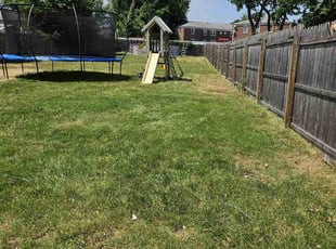 Kristi W.'s Lawn Mowing service result