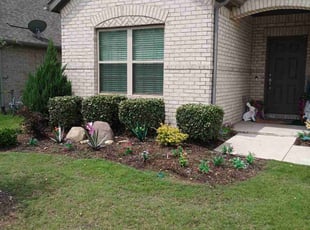 Timothy B.'s Bush Trimming service result