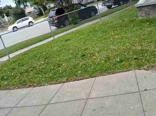 Ric W.'s Lawn Care service result